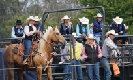 The University of Wisconsin River Falls Rodeo rodeo team