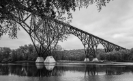 Under the Bridge