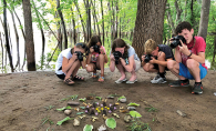 A photography class for kids at the Phipps Center for the Arts takes pictures of flowers and plants.