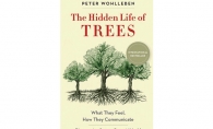 The Hidden Life of Trees, Peter Wohlleben, Mysteries of Nature, nature books, nature reading