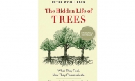 The Hidden Life of Trees by Peter Wohlleben The Hidden Life of Trees, Peter Wohlleben, Mysteries of Nature, nature books, nature reading