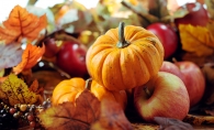 Apples and pumpkins from a local apple orchard/pumpkin patch