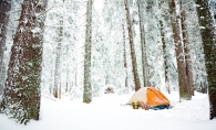 Tent pitched in snowy woods