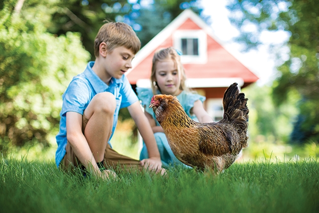children with chicken children with chicken
