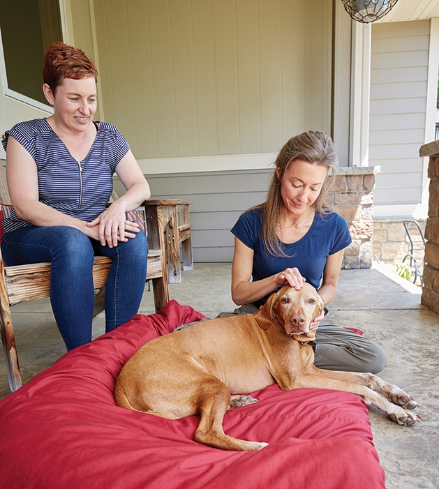 Acupressure for dogs Sarah Bertsch performs acupressure on a dog with cancer.