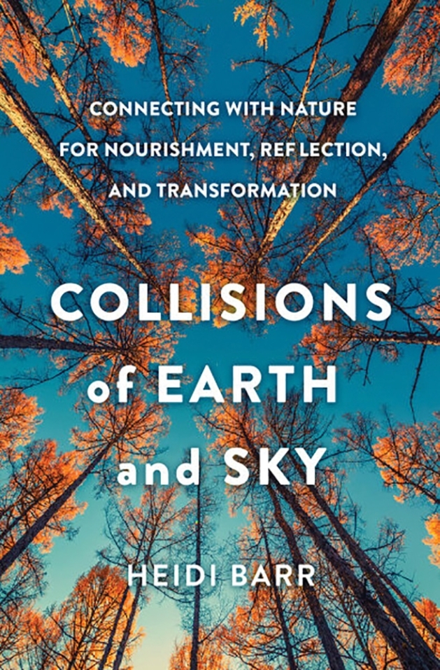 Collisions of Earth and Sky Book Cover