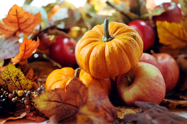 Apples and pumpkins from a local apple orchard/pumpkin patch