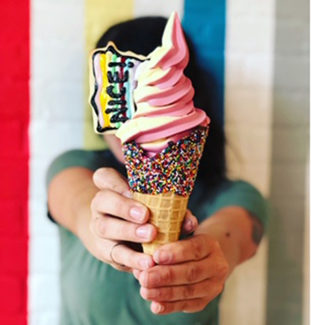 Minnesota Nice Cream Northeast Minneapolis ice cream shop Instagram