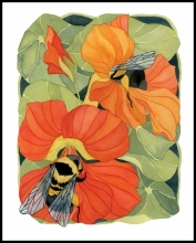 Birds and Bees by Megan Murrell.