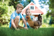children with chicken