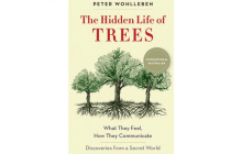 The Hidden Life of Trees, Peter Wohlleben, Mysteries of Nature, nature books, nature reading