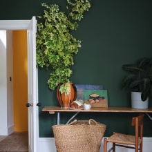 Dark emerald green wall paint.