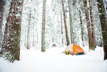 Tent pitched in snowy woods