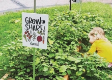 A community garden organized by Sustain Hudson